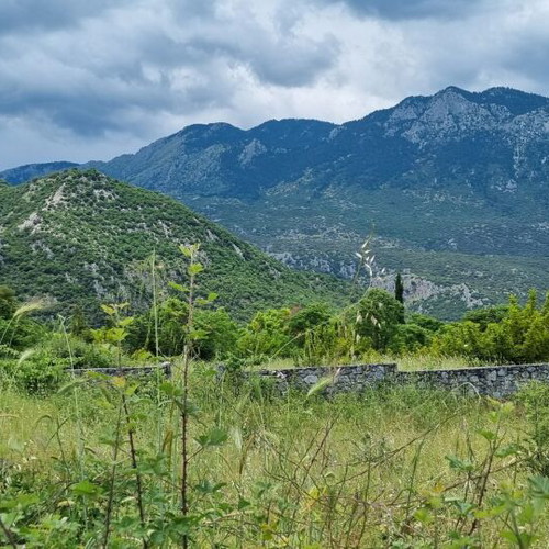 Land plot 3.5 acres in Parnassos with stunning view