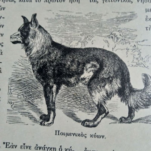 The Life of Animals like new, 1932 edition, leather-bound