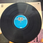 The Animals The House of the Rising Sun vinyl record