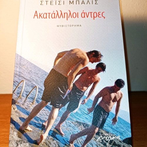 Inappropriate Men novel used