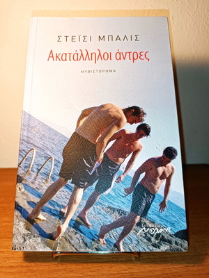 Inappropriate Men novel used