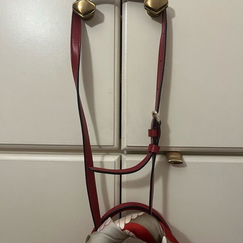 DKNY red leather handbag new with tags and protective case