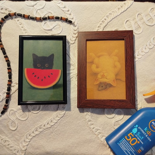 Cute Cat Frame with Watermelon 10x15 Kawaii Wall Art