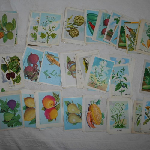 Stickers used 90 ''Herbs, fruits and nuts'' school set 50s-60s