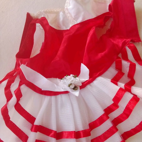 Dress for small dog new