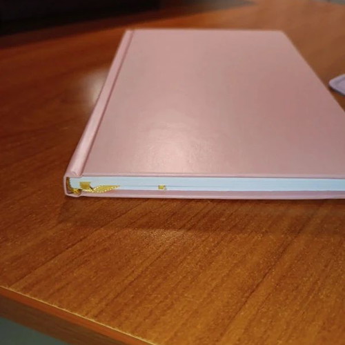 Pink agenda notebook new with elastic closure