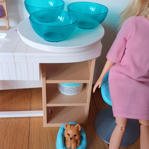 Barbie beauty studio with 4 dolls and dog, used