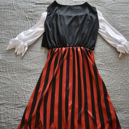 Pirate carnival costume like new, one size women’s