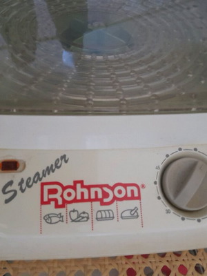 Rohnson Steamer 2-Level Like New