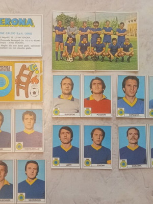 Calciatori stickers Verona 1977/78 used