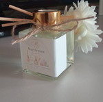 Aromatic diffuser with floral sticks new