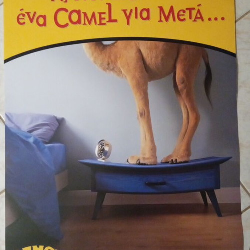 Camel Collectible Large Advertising Poster 90s New 67x47 cm
