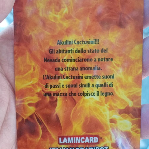 Lamnicard Italian Brainrot collectible card used