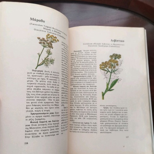 Medicinal herbs and their uses used book