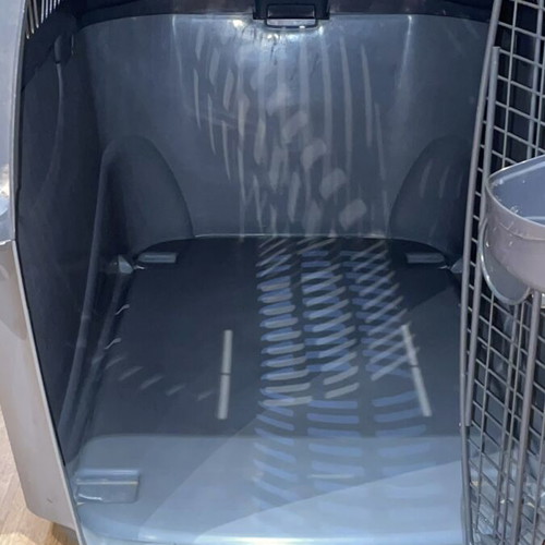 Petmate IATA dog kennel 120x80x90cm