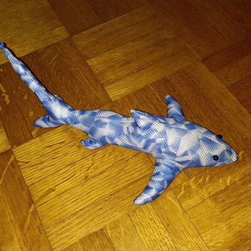 Decorative shark with sand inside