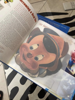 The Disney Treasures Slipcase HC new large