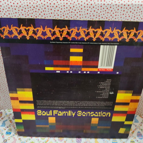 Soul Family Sensation New Wave vinyl record used, electronic