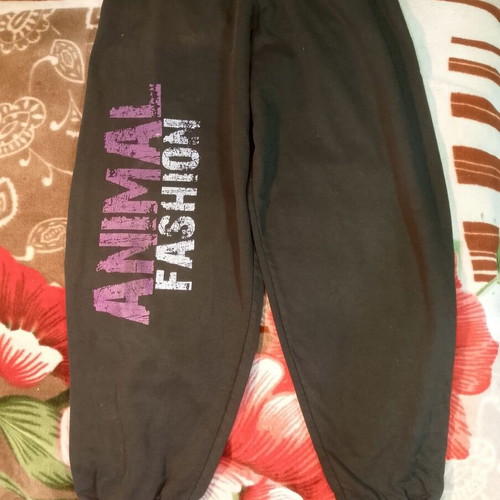 Animal Fashion dark grey joggers with AF logo and motivational print