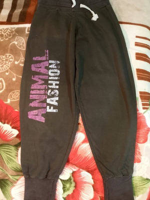 Animal Fashion dark grey joggers with AF logo and motivational print
