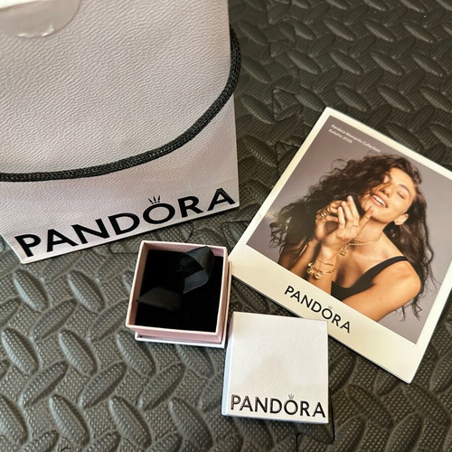 Pandora charm box and bag new