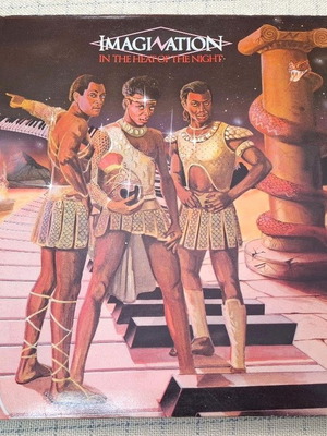 Imagination In The Heat Of The Night LP