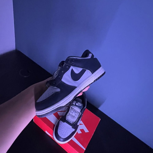 Nike Dunk Low kids' size 30 new with box authentic