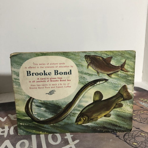 Vintage Brooke Bond Tea cards Freshwater Fish complete set used