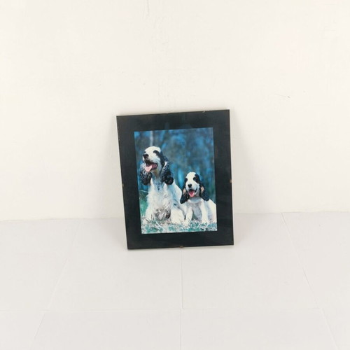 Picture frame with dogs image used