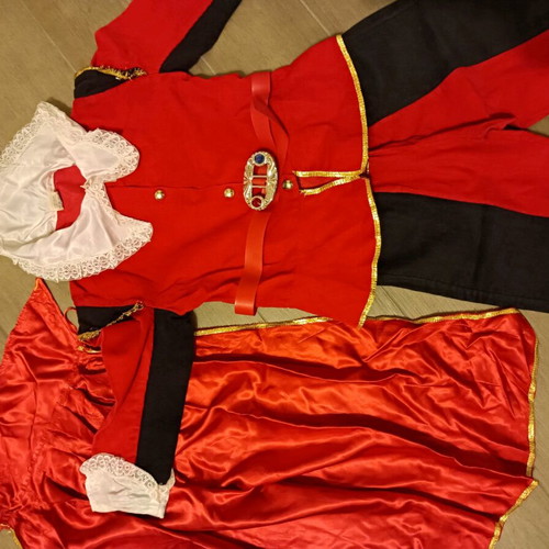 Carnival costume no8 used