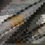 Σετ 5 ρούχων για κορίτσι 8-9 ετών σαν καινούργιο, πολύχρωμο