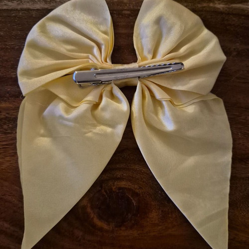 Hair clip accessory