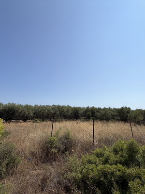 Land plot 600 m² fenced near Nea Kallikrateia, Halkidiki