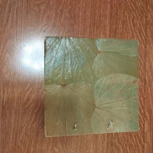 Album with pressed paper and natural leaves, like new, 10 pages