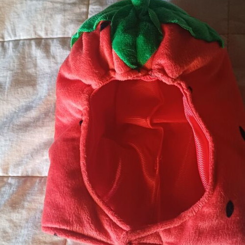 Strawberry Baby Costume carnival, like new, 6-12 months
