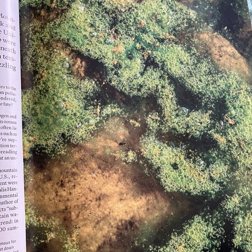 Scientific American April 2026 magazine like new