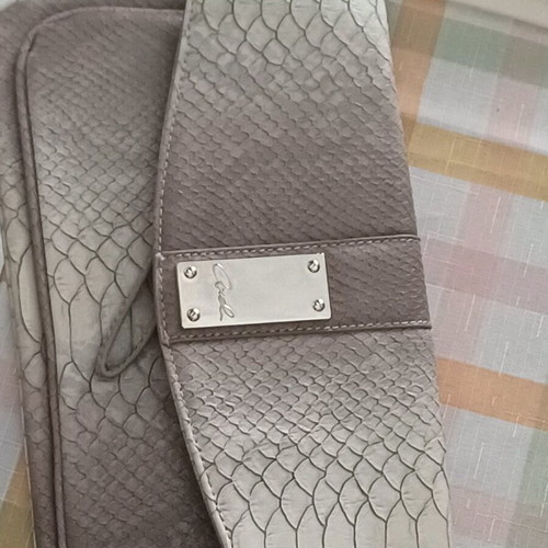 Axel envelope bag new in unique color with multiple compartments