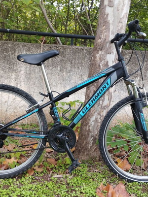 Clermont Tribal Mountain Bike used, 24 inch wheel, Shimano XT gears