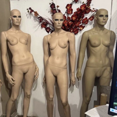 Female Display Mannequins like new