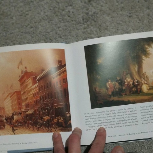 Paintings of New York book by Bruce Weber used, English