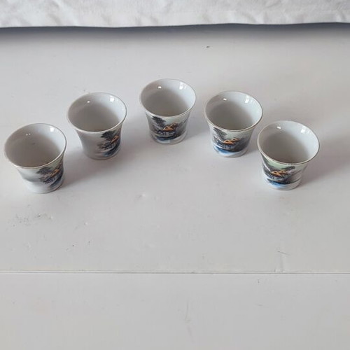 Hayasi China vintage Japanese porcelain sake set, 6 pieces