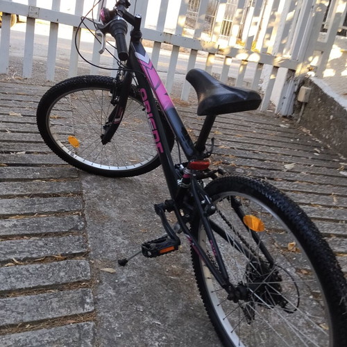 Orient Snake 24" Mountain Bike like new, 21-speed, V-Brakes