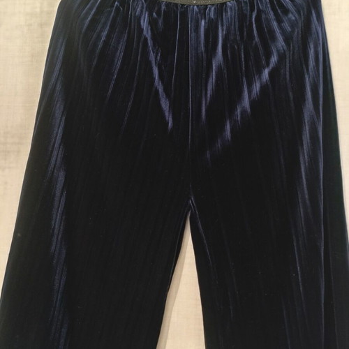Blue Velvet Pleated Wide Leg Pants new, size medium