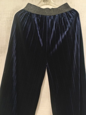 Blue Velvet Pleated Wide Leg Pants new, size medium