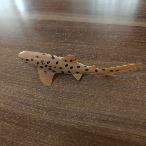 Atelimycterus marmoratus - Coral catshark figure used 11cm