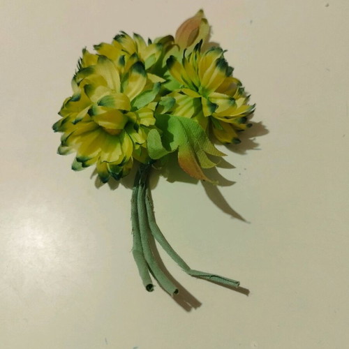 Boutonniere used, 60s fabric