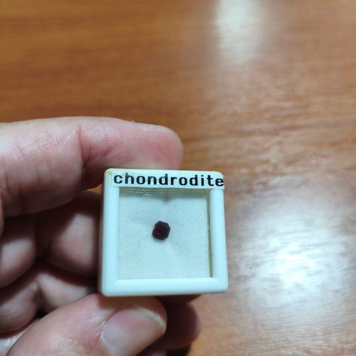 Chondrodite 0.31ct very rare gem new