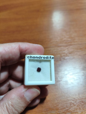 Chondrodite 0.31ct very rare gem new