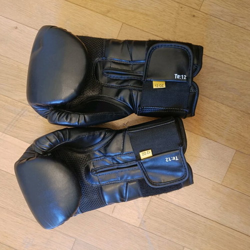 Everlast boxing gloves used, in very good condition