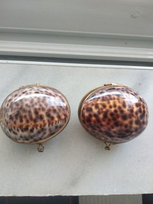 Antique shell wallets like new with brass closure